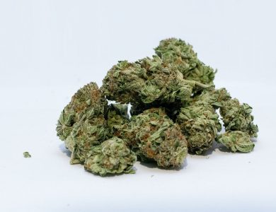 Delivering Highs: Exploring the Convenience of Mail Order Marijuana
