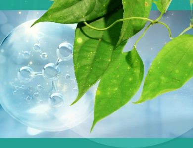 The Rise of Thai Medicinal Grass in Alternative Medicine: A Modern Perspective